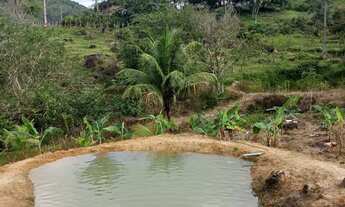 Imagem 6: Sitio Chácara com venda por R$180.000