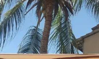 Imagem 2: Temporada Carnaval Casa com piscina em Jauá