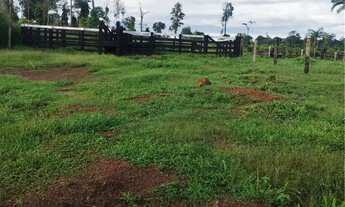 Imagem 7: Vende-se Fazenda na beira da BR 174