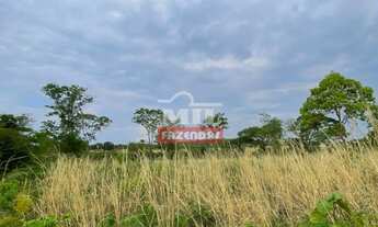 Imagem 3: Fazenda 154 alqueires (745,36 hectares) Colinas Do Sul - Go