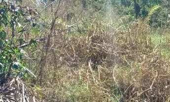 Imagem 3: Vendo terreno Terreno / lote com aluguel por R$55.000 /mês