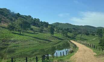 Imagem 2: Fazenda 379 alqueires 45.000 o alq