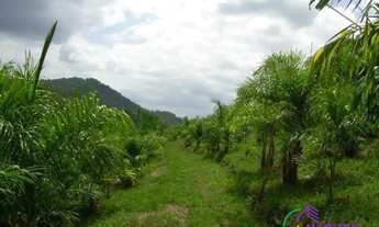 Imagem 5: AREA - PARQUE SANTA ROSA - SP