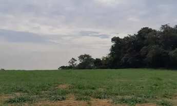 Imagem 6: Lotes Planejados com Infraestrutura Pronta em Mato Dentro