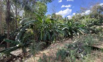 Imagem 3: 2 Alqueires Chácara com venda por R$450.000