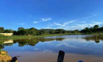 Imagem 5: Fazenda à Venda em Israelândia-GO com 90 Alqueires Dupla Aptidão