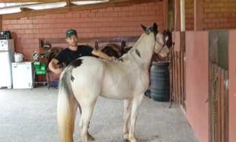 Imagem 4: HARAS EM SANTO ANTONIO DE LEVERGER