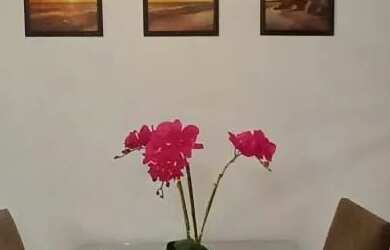 Imagem 4: Cond. Reserva Inglesa 2qtos 100% Mobiliado