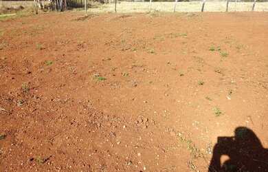 Imagem 3: Vendo terreno de 1.000 MTS quadrado