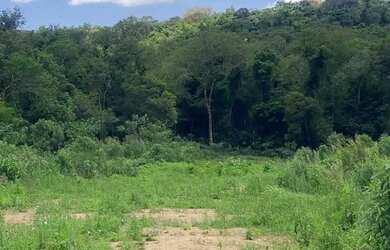 Imagem 4: 500m² em Ibiúna com ótima localização e preço especial de R$50 mil