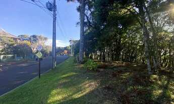 Imagem 6: Lote em condomínio em Av Borges de Medeiros - Mato Queimado - Gramado/RS