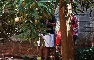 Imagem 6: Vende-Se Casa Casa com 2 dormitórios