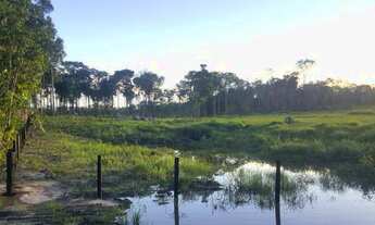 Imagem 3: Fazenda com 280 hectares em Rorainópolis/RR, ler descrição do anuncio