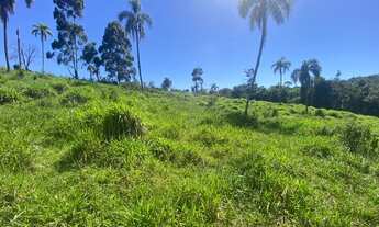 Imagem 5: Lote/Terreno para venda tem 1000 metros quadrados