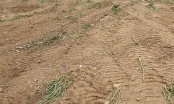 Imagem 5: Lote/Terreno para venda possui 640 metros quadrados em Canguiri - Colombo - PR