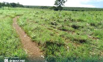 Imagem 2: Fazenda com dupla aptidão na região de Cristalândia - TO