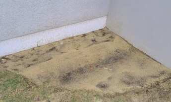 Imagem 7: Tramandaí - Casa Padrão - Humaita