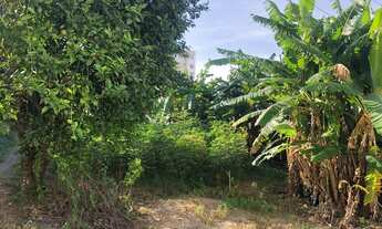 Imagem 3: Terreno para Venda em Palhoça, São Sebastião