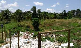 Imagem 6: Terreno totalmente plano em área privilegiada com 40.000 mts !