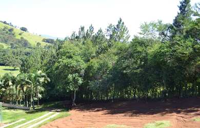 Imagem 4: Fazenda/Sítio/Chácara para venda possui 9800 metros quadrados com 4 quartos