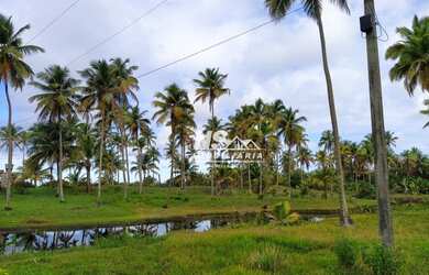 Imagem 6: Terreno na Praia