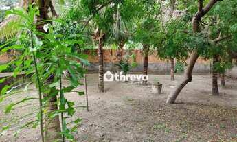 Imagem 4: Sítio com 3 dormitórios, 100000 m² - venda por R$ 650.000,00 ou aluguel por R$ 2.400,00/mê