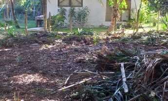 Imagem 7: Lote/Terreno para venda de 800 m2 em Barra Grande - Maraú - Bahia