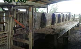 Imagem 2: Fazenda Com 405 Alqueires Localizada em Marabá-Pá