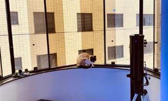 Imagem: Apto para venda 3 quartos Funcionários