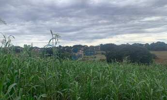 Imagem 7: Área para chácara Maravilha Londrina