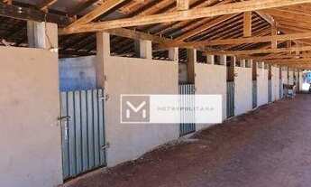 Imagem 2: Santo Antônio de Posse, Haras