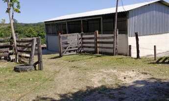 Imagem 2: Oportunidade! Vende-se um espetáculo de fazenda de 199 Alqueires