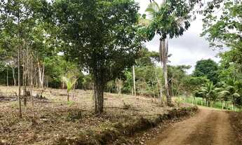 Imagem 4: Lotes especiais de 1000m2 no km 6 em Itacaré