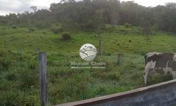 Imagem 7: Machadinho D'Oeste - Sítio - 15 Alqueires