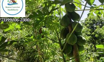 Imagem 4: Casa de vila térrea para aluguel e venda tem 75 metros quadrados com 2 quartos