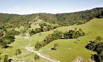 Imagem: GG - Fazenda entrada R$16.700