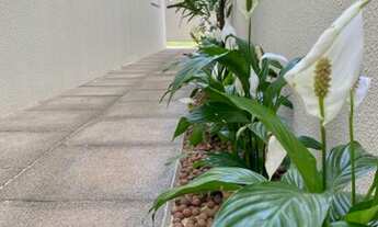 Imagem 7: Casa térrea no tropical 3 com sobra de terreno IMPERDÍVEL