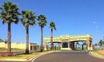 Imagem 4: Terreno Alto do Castelo