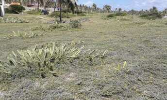 Imagem 6: Lote em Sítio do Conde, 1.755 m²