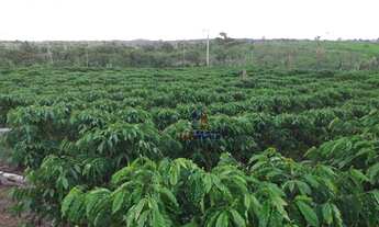 Imagem 2: Sítio com 2 dormitórios à venda, 338800 m² por R$ 570.000,00 - Área Rural de Porto Velho