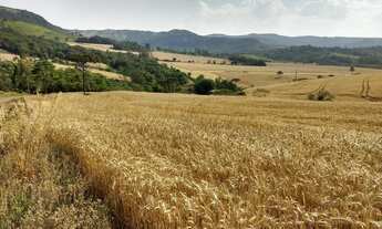 Imagem 6: Fazenda Carolina