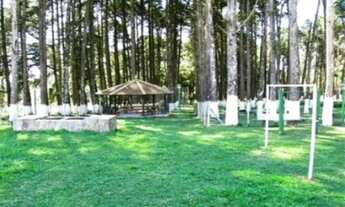 Imagem 7: Castelo Alphaville