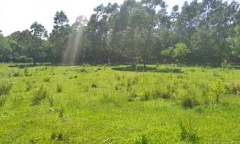 Imagem 7: CH21 Chácara para venda, com casa simples em Rolante-RS