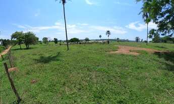 Imagem: Sítio 7 Alqueires de Cultura em Morrinhos