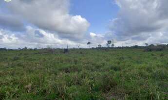 Imagem 2: FAZENDA Á VENDA EM BRASIL NOVO - PA - 663,08 HECTARES (DUPLA APTIDÃO
