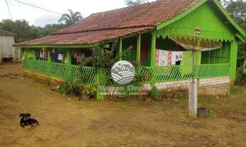 Imagem 3: Machadinho D'Oeste - Sítio - 15 Alqueires