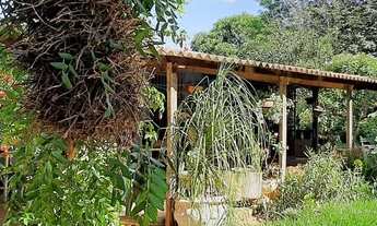 Imagem 2: Chácara para venda possui 40000 metros quadrados com 3 quartos