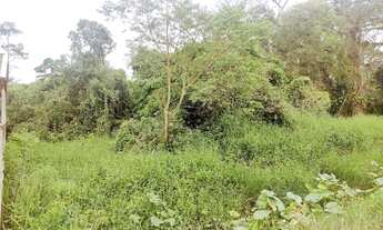 Imagem 5: Excelente terreno muito bem localizado no Bairro Costeira!