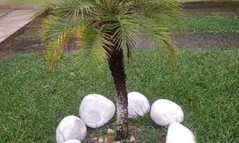 Imagem 5: Casa com piscina e churrasqueira