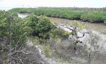 Imagem 7: Área Frontal 36000 m² em Barra do Itariri